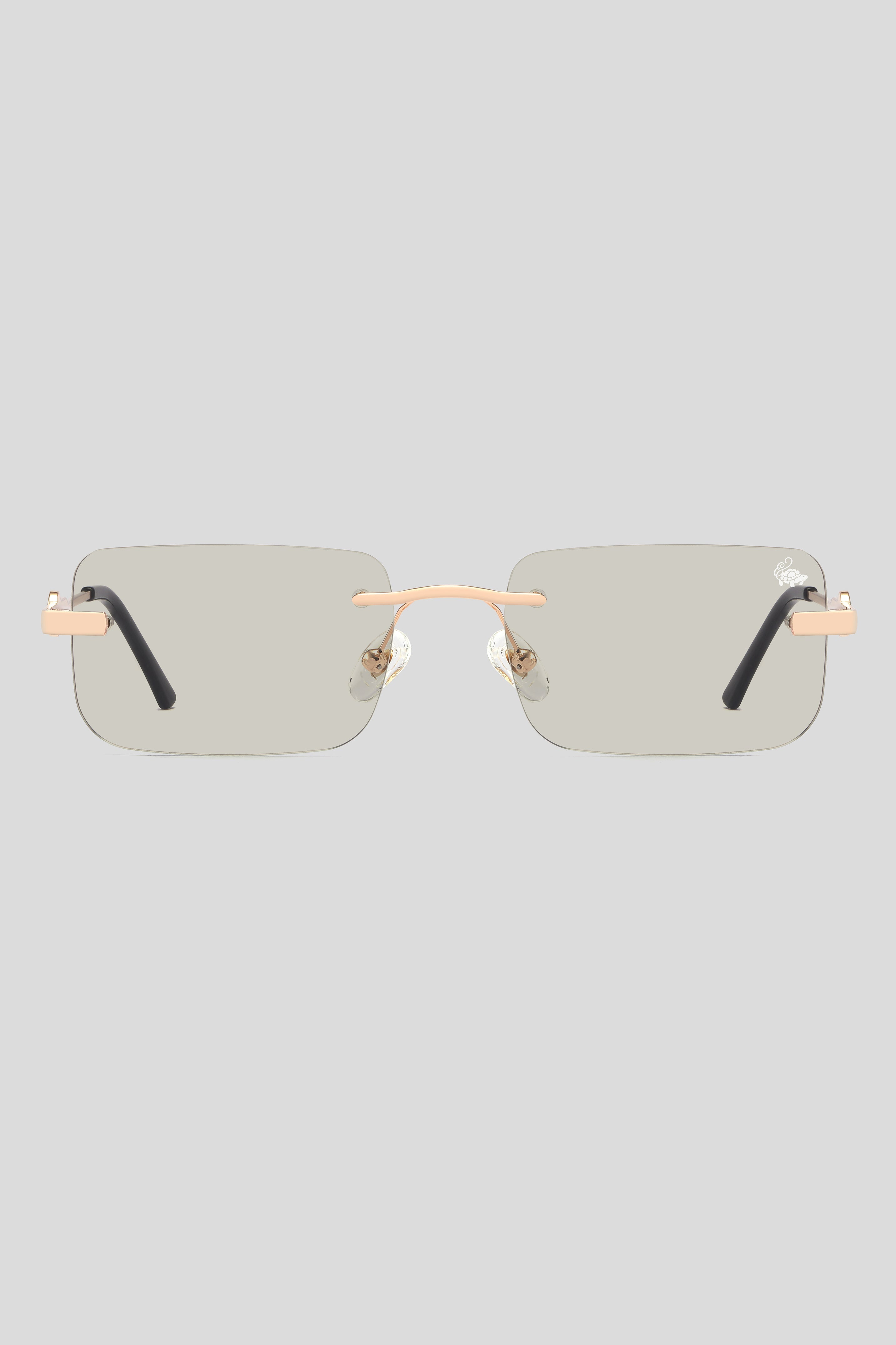 Hampton Transition Brown | Gold