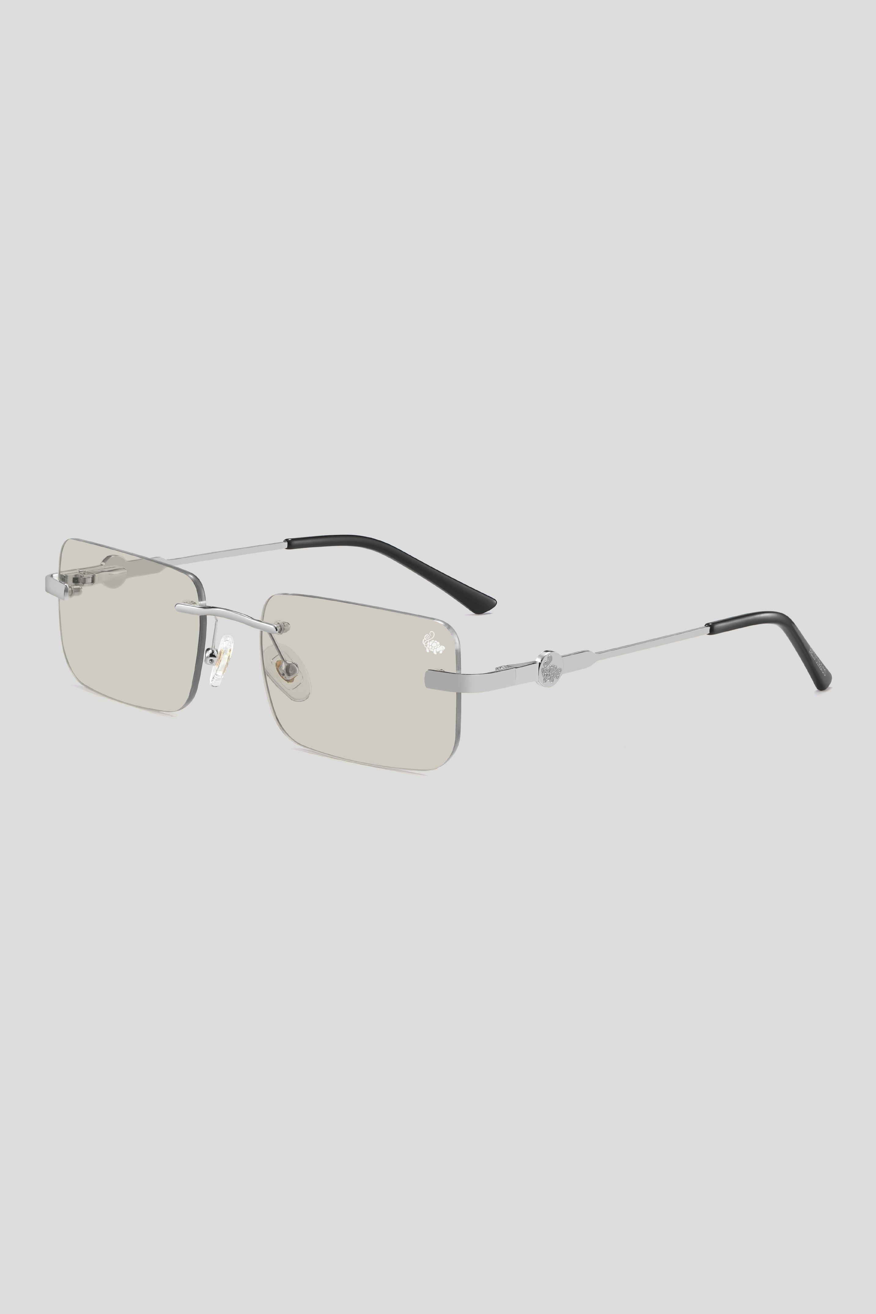 Hampton Transition Brown | Silver
